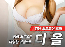 오피스타 | [강남오피-디올 ]