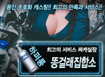 오피스타 | [똥걸래집합소-싸게실장]