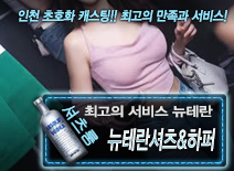 오피스타 | [뉴테란셔츠&하퍼-뉴테란]